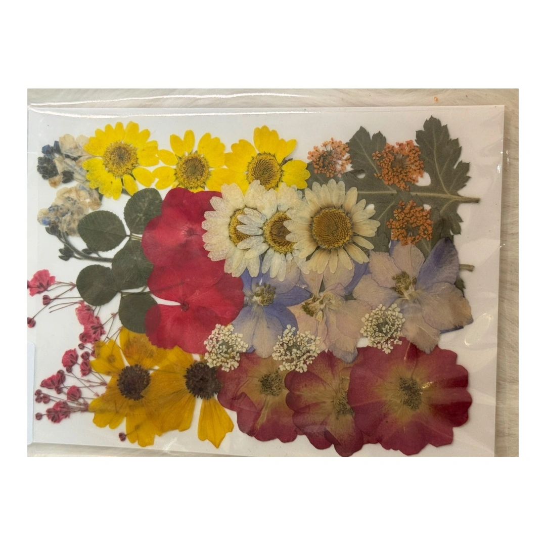 Dry Flowers Sheet for Resin Art IDFS - 51