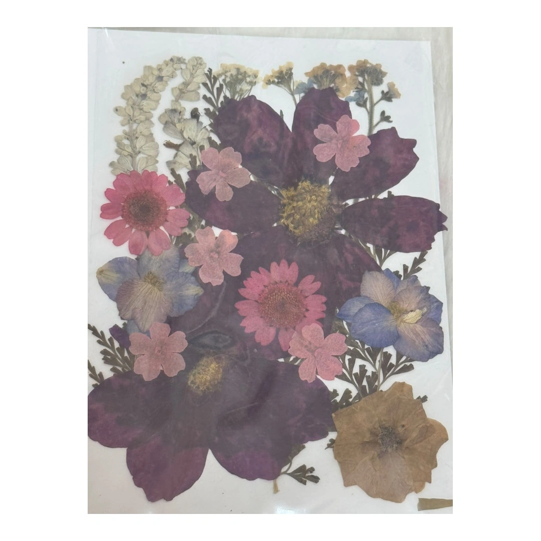 Dry Flowers Sheet for Resin Art IDFS - 65