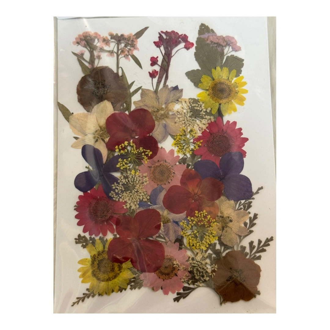 Dry Flowers Sheet for Resin Art IDFS - 68
