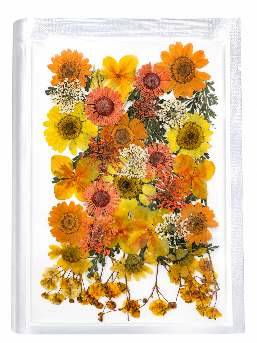 Dry Flower Sheet for Resin Art IDFS-09