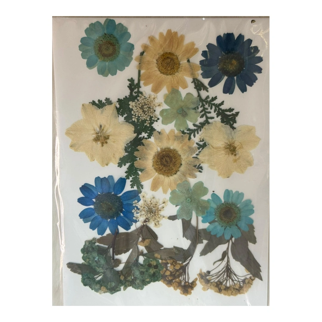 Dry Flowers Sheet for Resin Art IDFS - 58