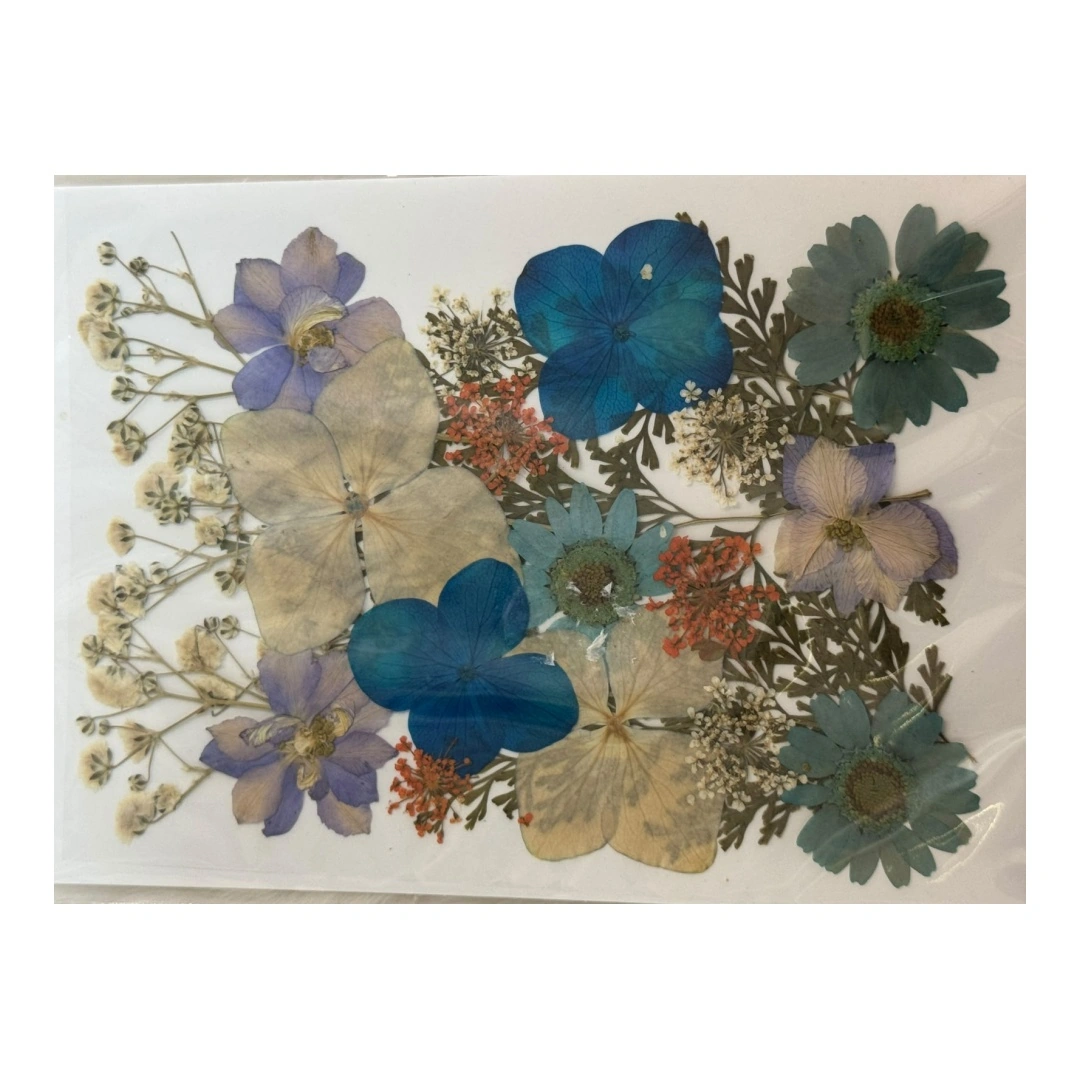 Dry Flowers Sheet for Resin Art IDFS - 48