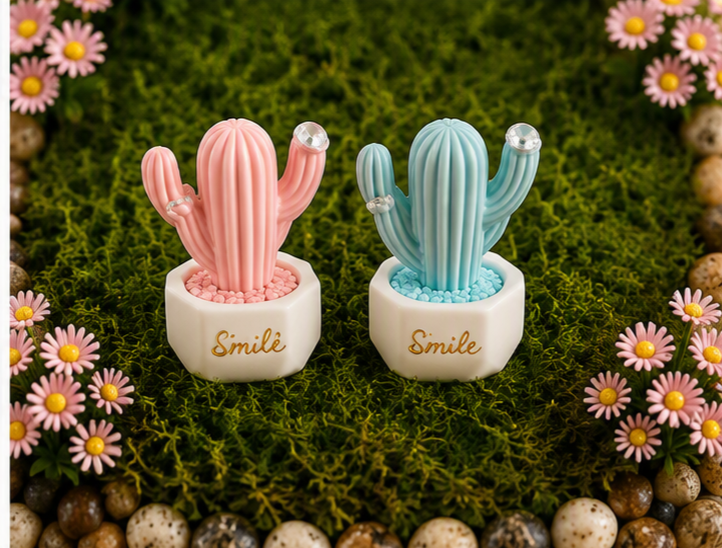Miniature Cactus Smile 2