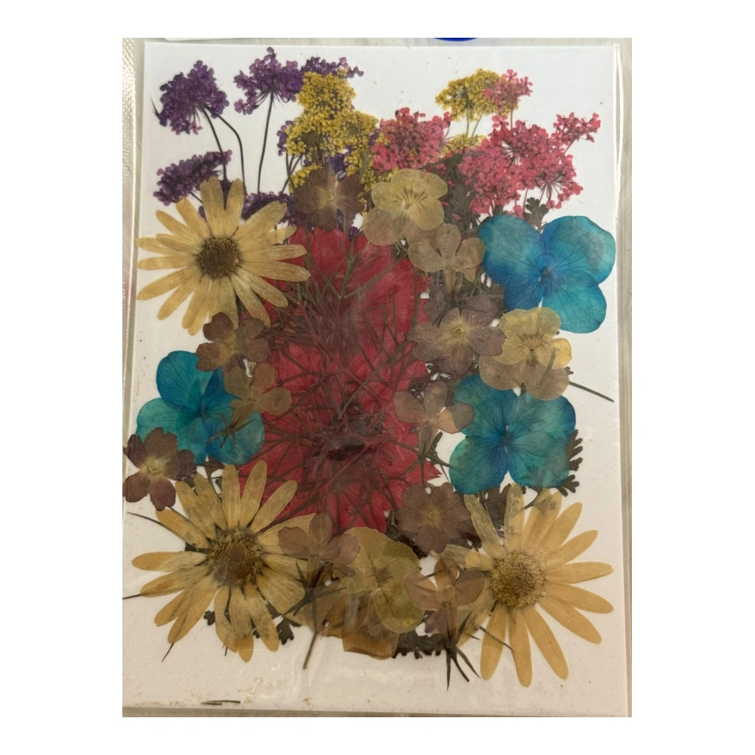 Dry Flowers Sheet for Resin Art IDFS - 10