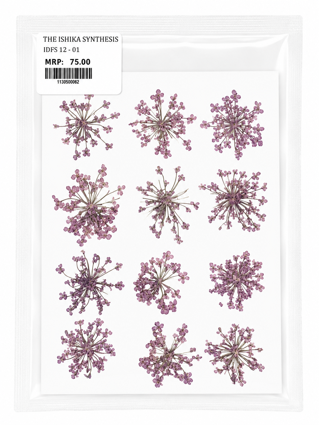 12 Dry Flower Sheet for Resin Art IDFS-01