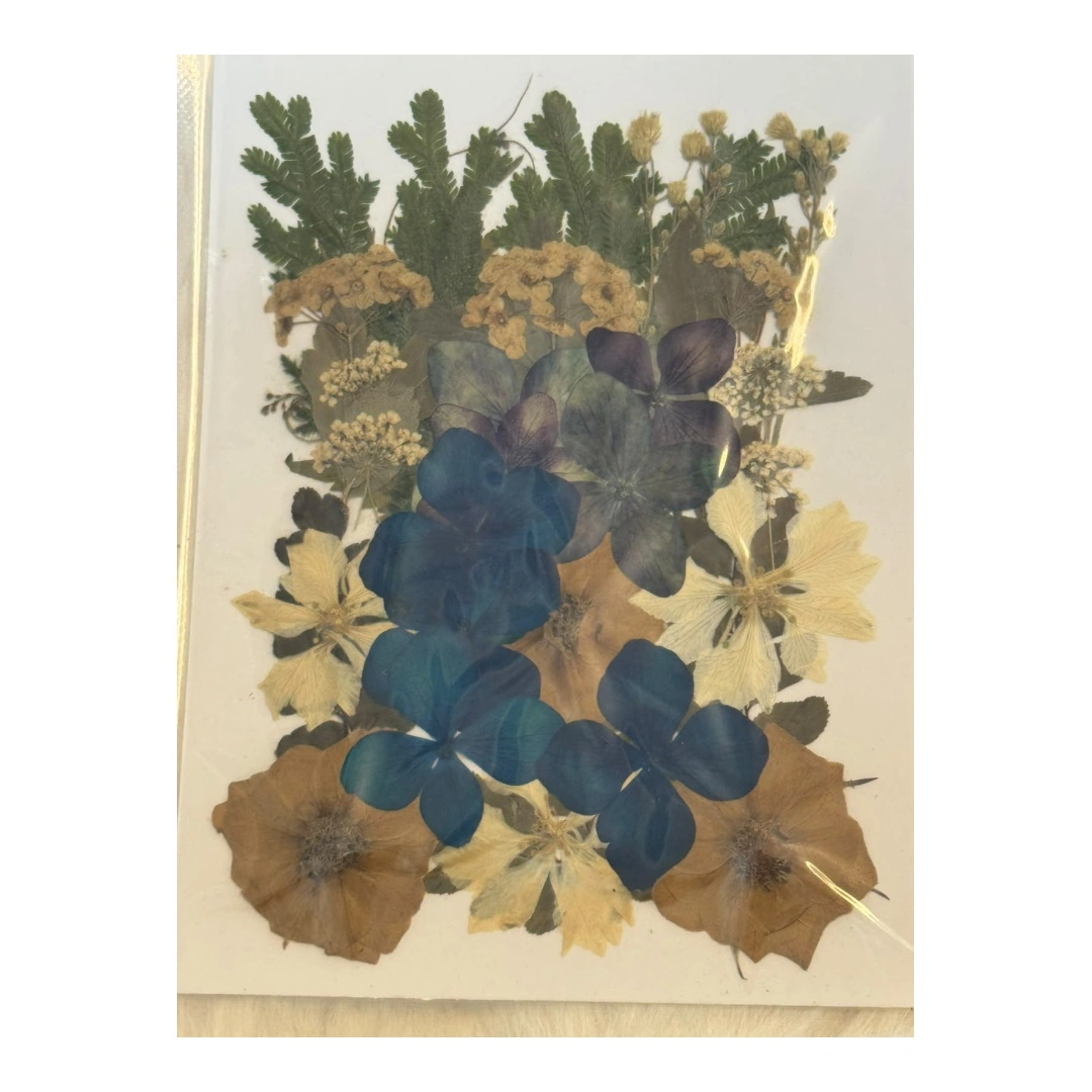 Dry Flowers Sheet for Resin Art IDFS - 24