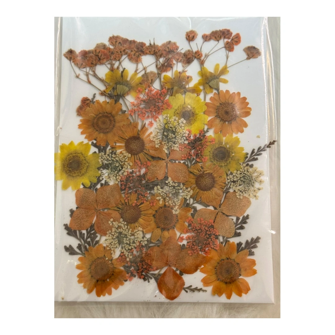 Dry Flowers Sheet for Resin Art IDFS - 13