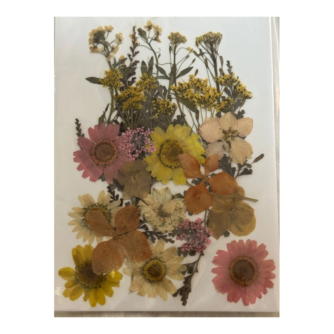 Dry Flowers Sheet for Resin Art IDFS - 37