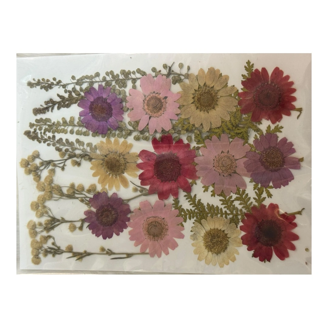 Dry Flowers Sheet for Resin Art IDFS - 60