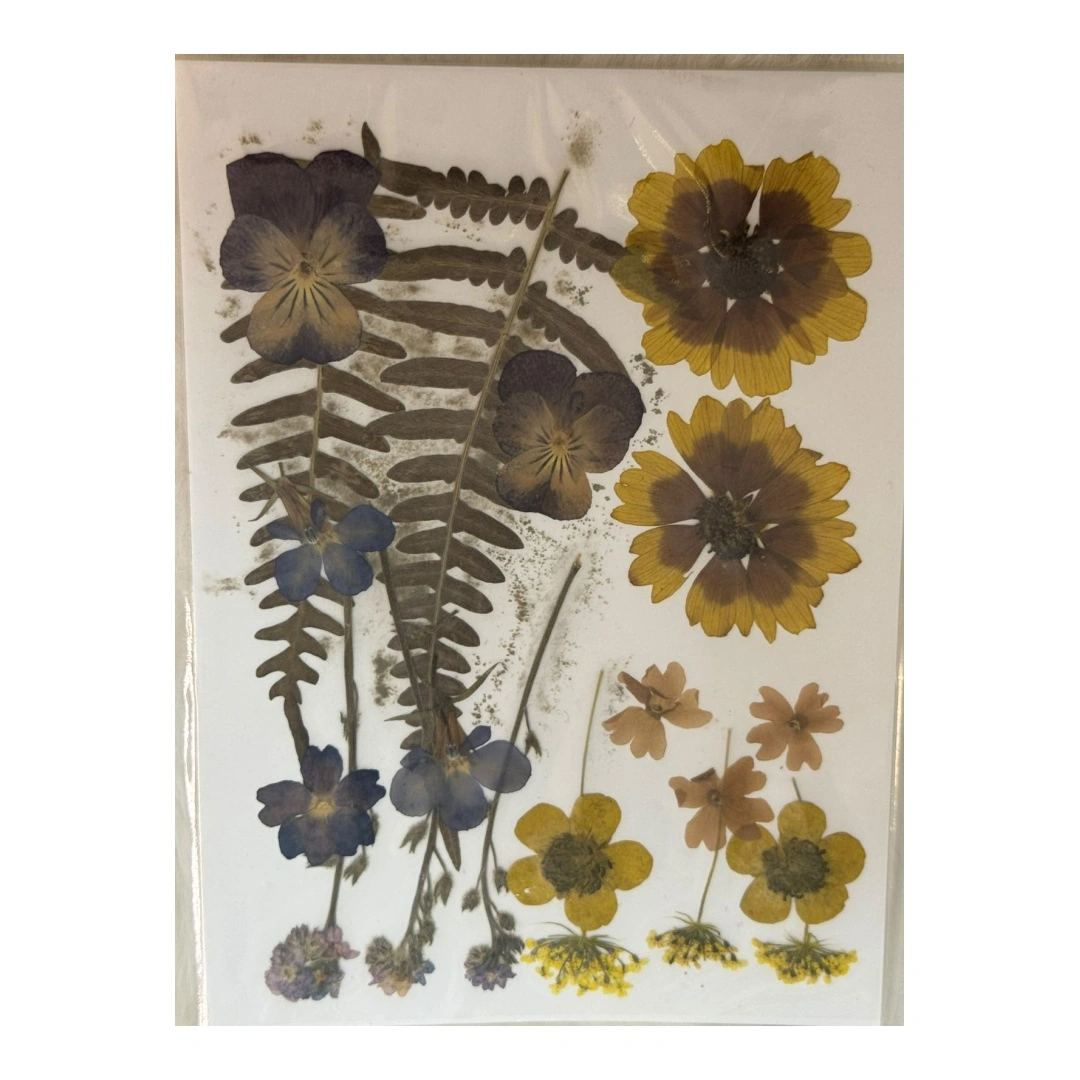 Dry Flowers Sheet for Resin Art IDFS - 66