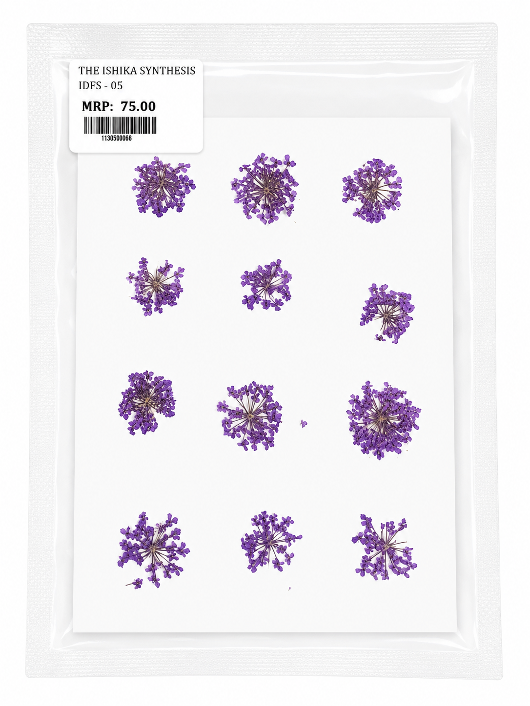 12 Dry Flower Sheet for Resin Art IDFS-05