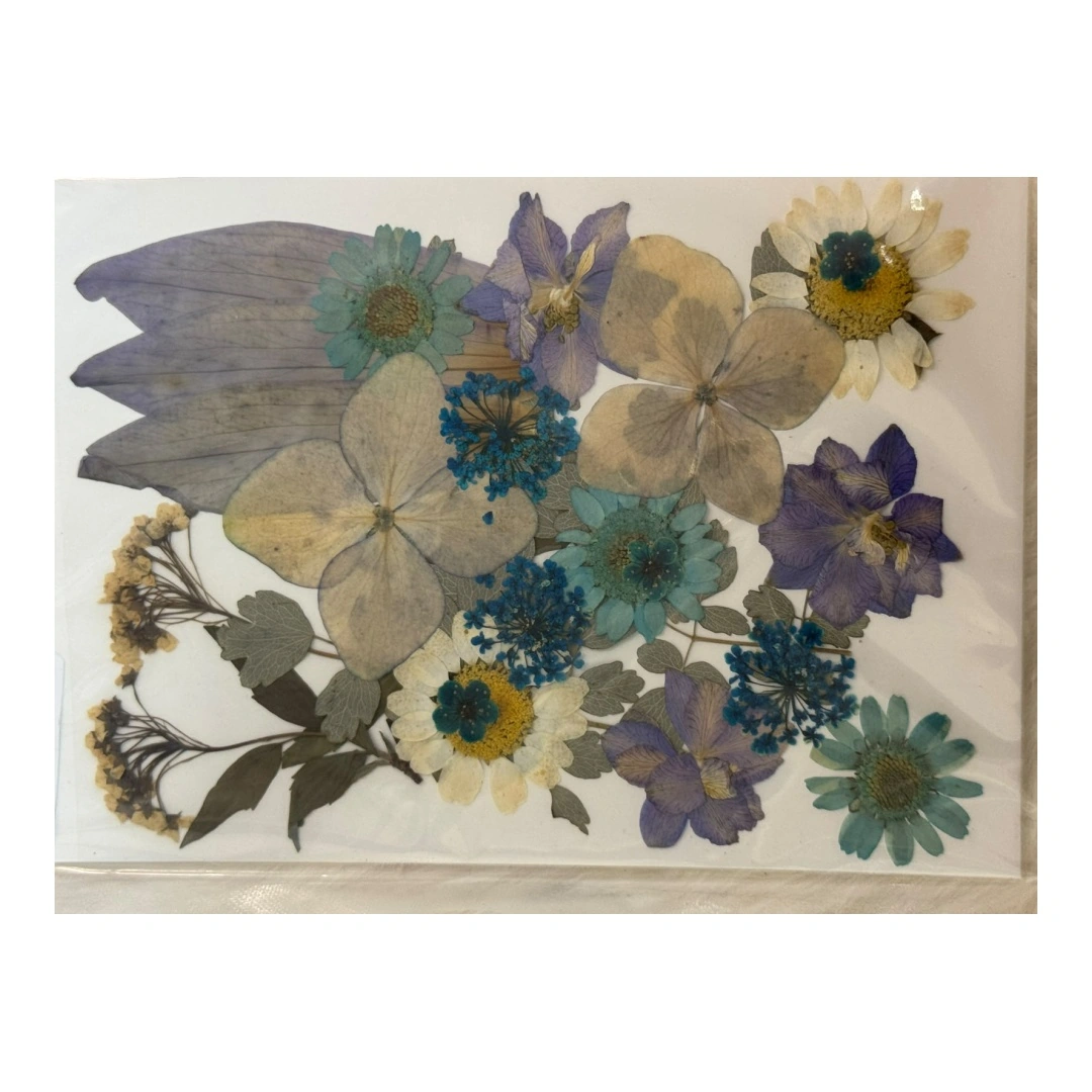 Dry Flowers Sheet for Resin Art IDFS - 33
