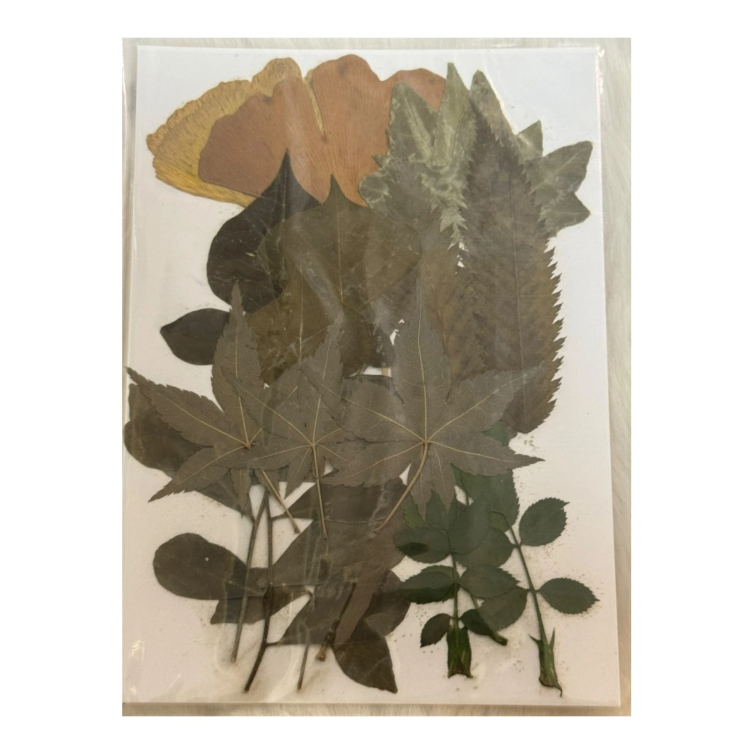 Dry Flowers Sheet for Resin Art IDFS - 57