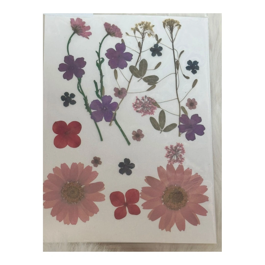 Dry Flowers Sheet for Resin Art IDFS - 74