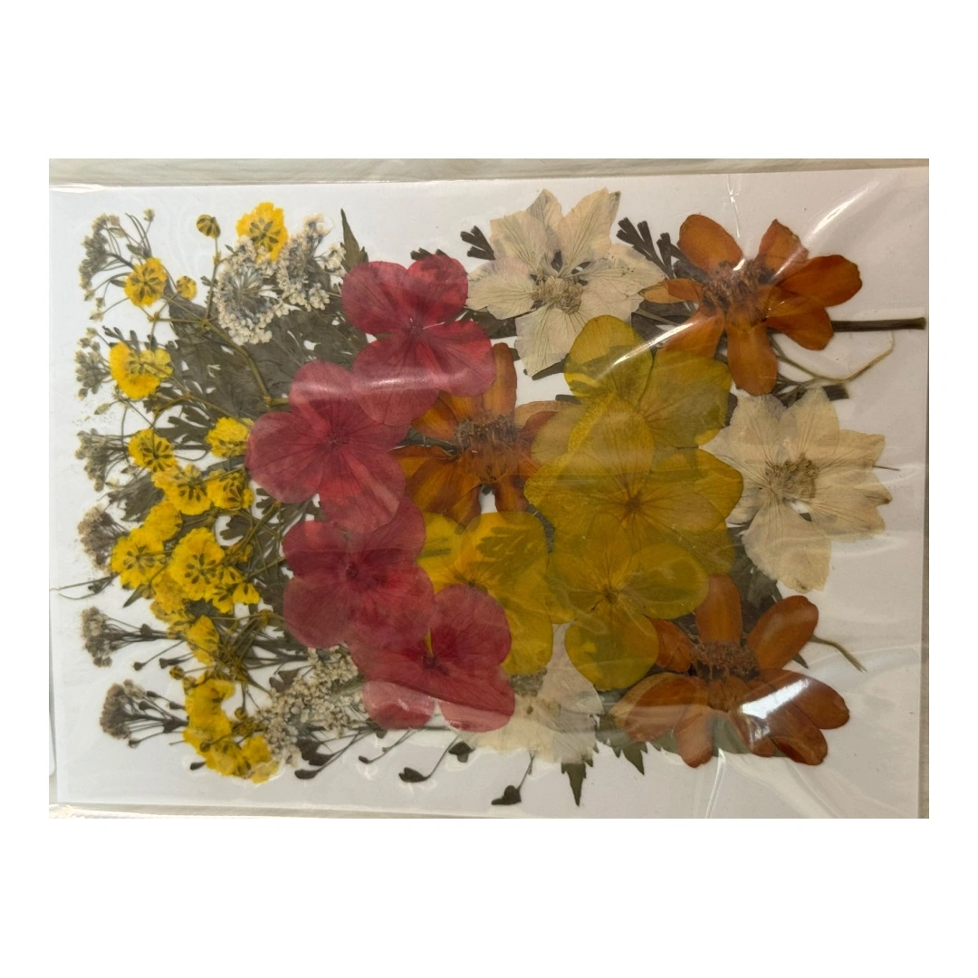 Dry Flowers Sheet for Resin Art IDFS - 16