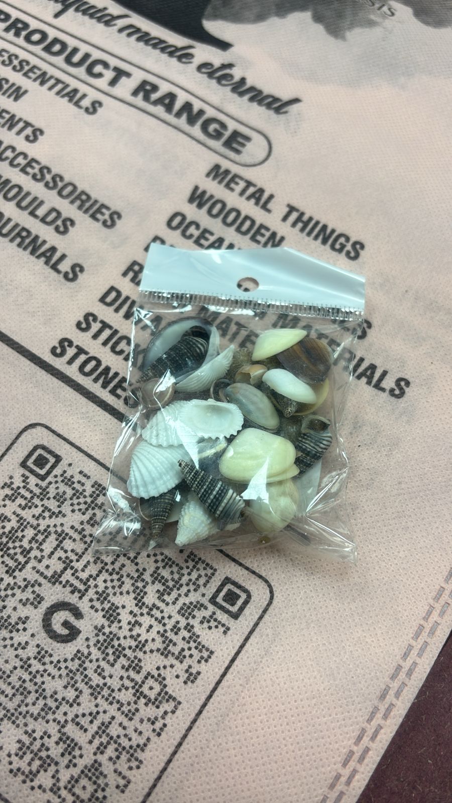 Mixed Natural Seashells for Resin Art