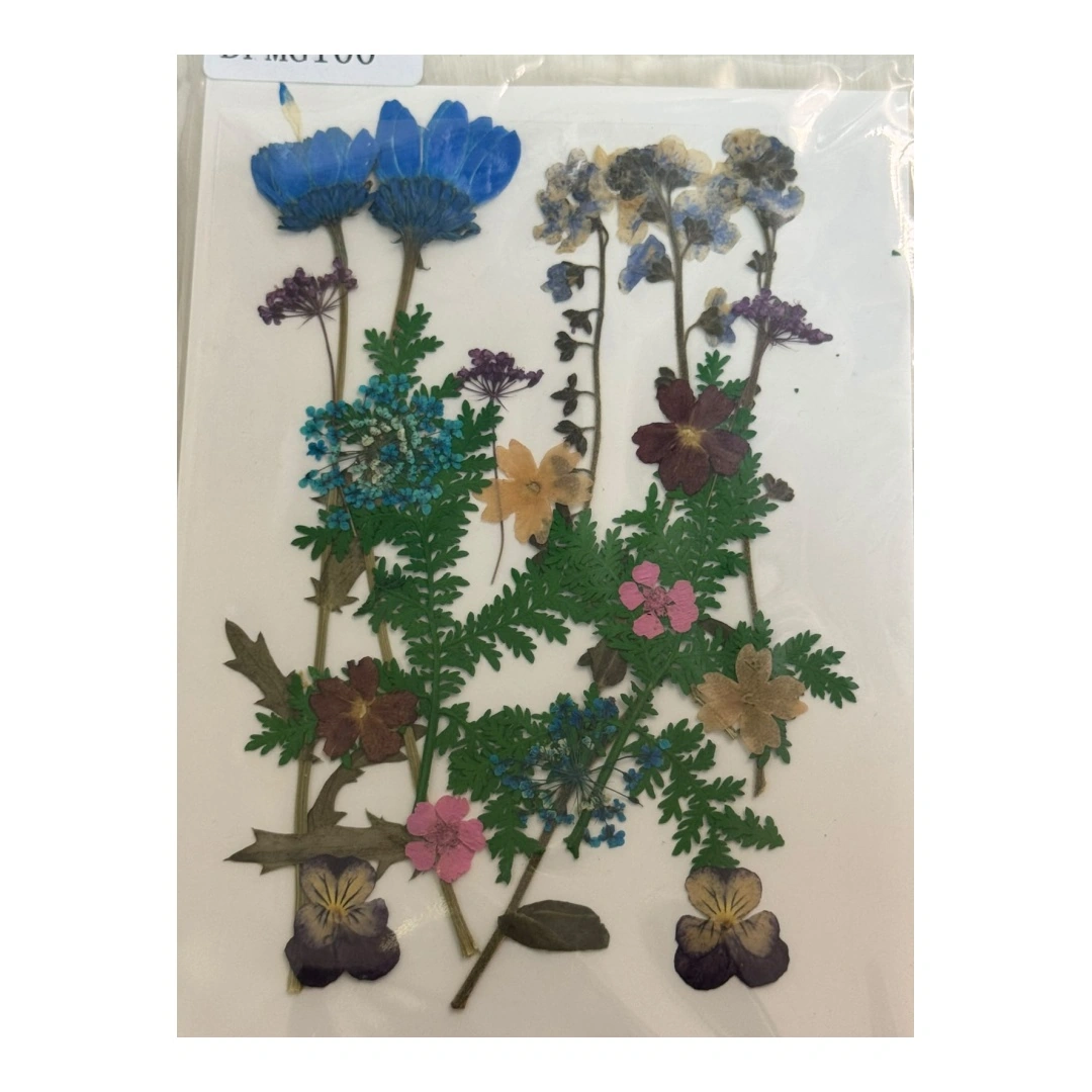 Dry Flowers Sheet for Resin Art IDFS - 72
