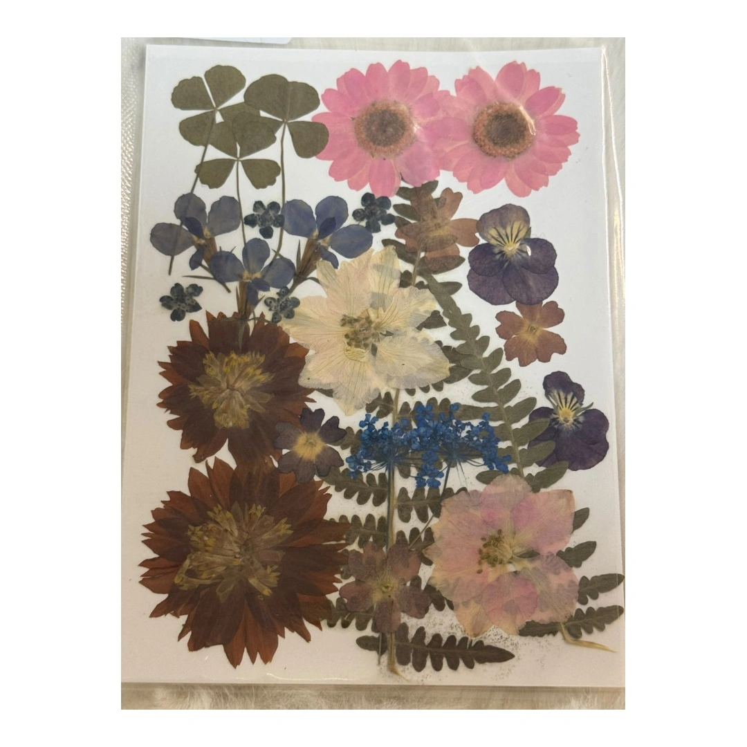 Dry Flowers Sheet for Resin Art IDFS - 70