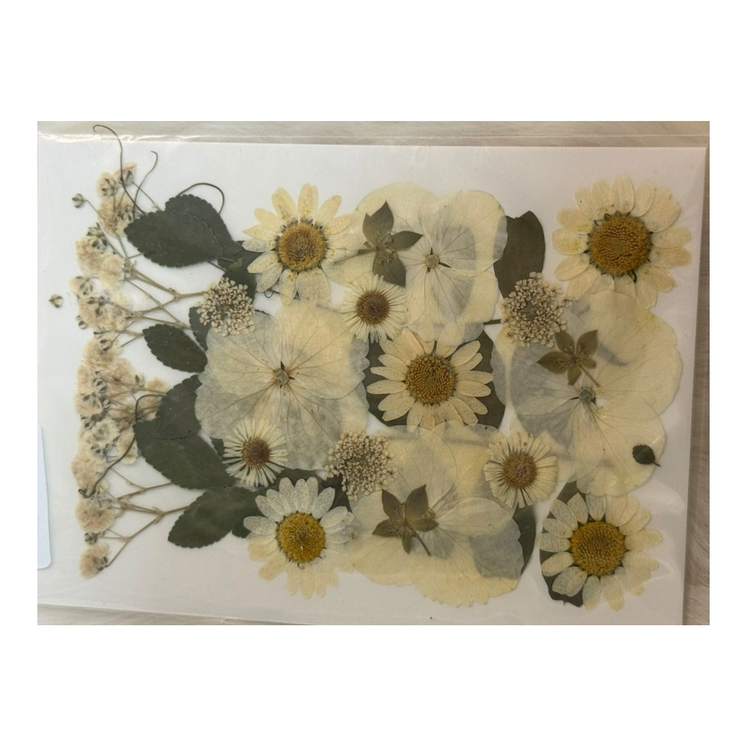 Dry Flowers Sheet for Resin Art IDFS - 75