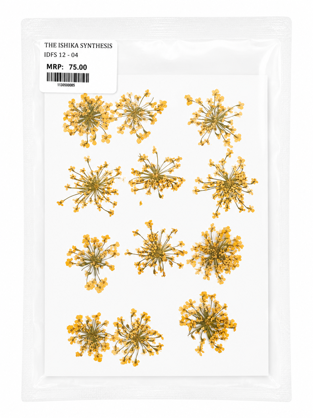 12 Dry Flower Sheet for Resin Art IDFS-04