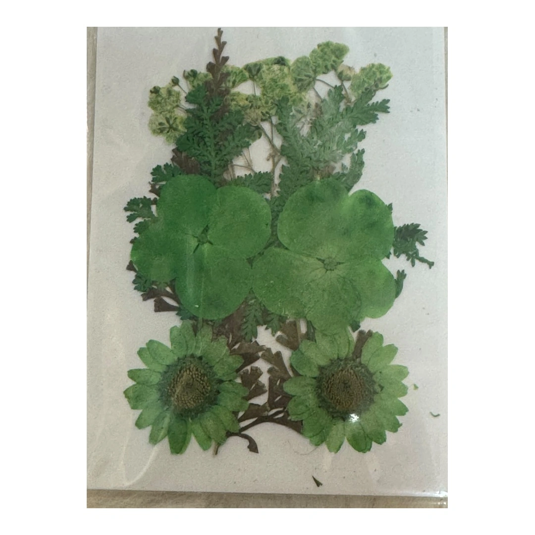 Dry Flowers Sheet for Resin Art IDFS - 49