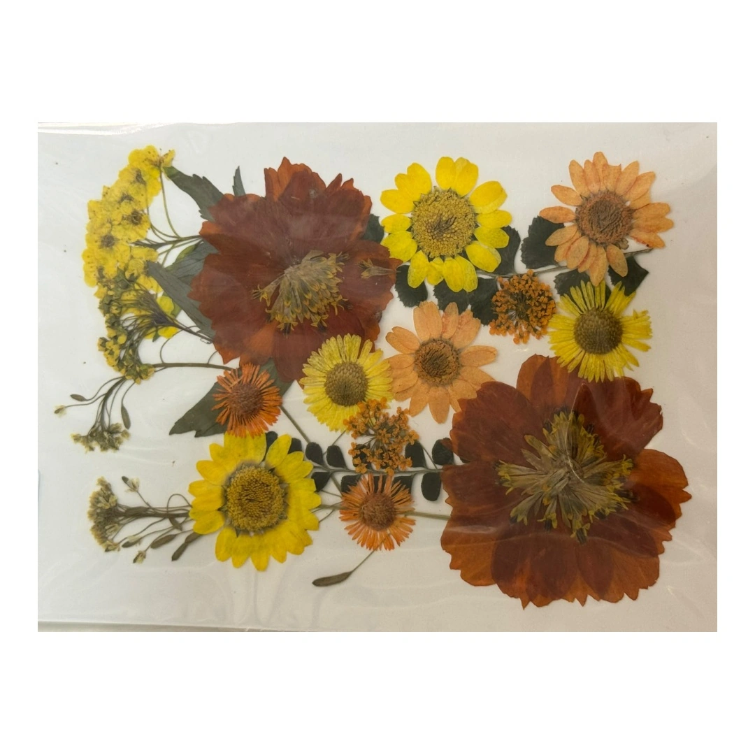 Dry Flowers Sheet for Resin Art IDFS - 52