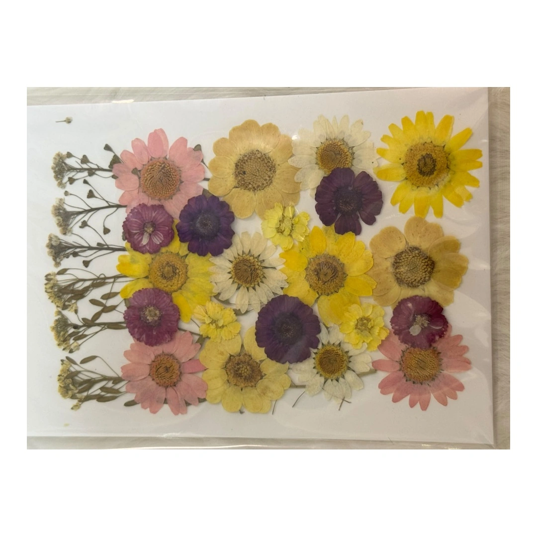 Dry Flowers Sheet for Resin Art IDFS - 29