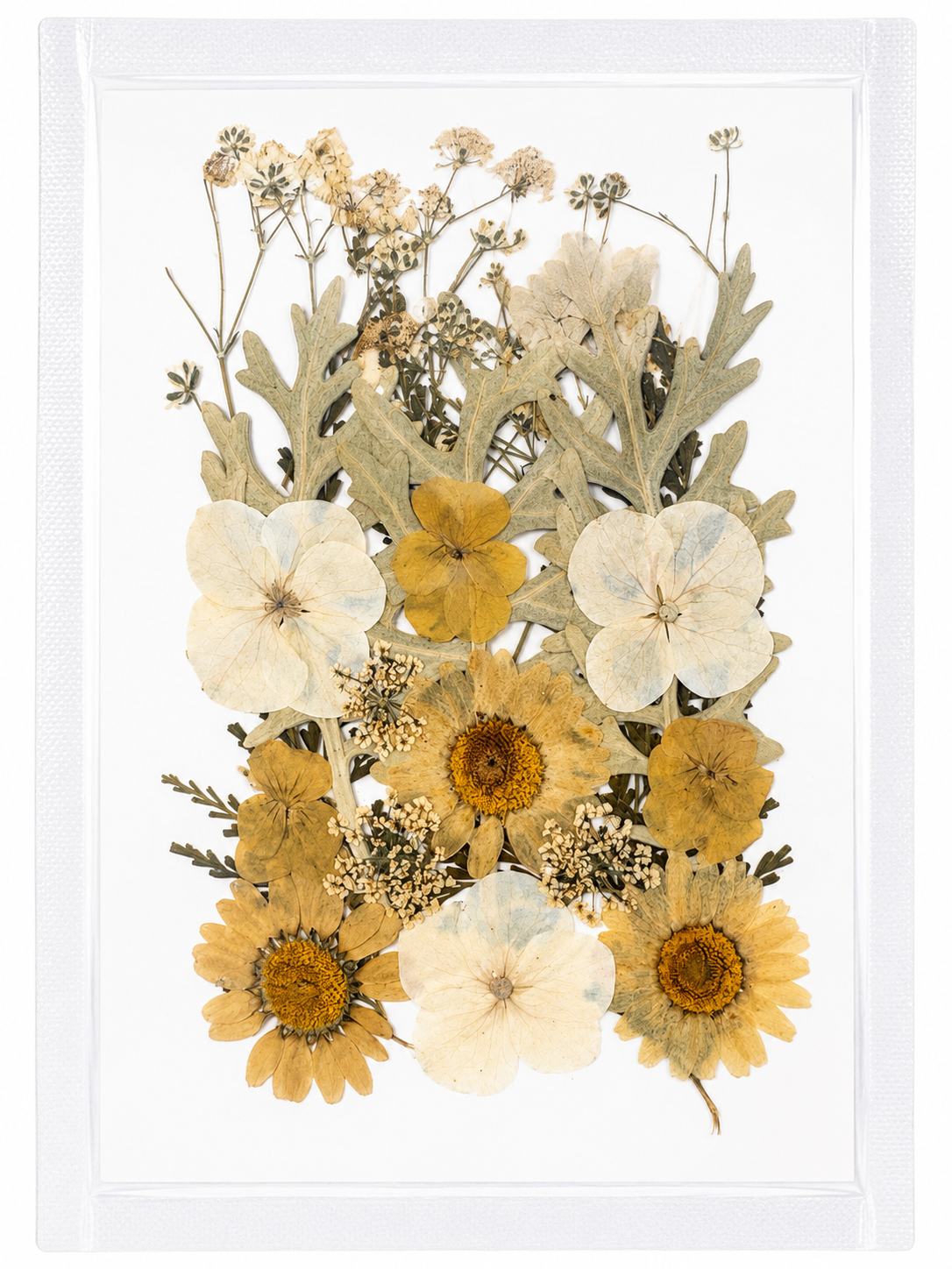 Dry Flower Sheet for Resin Art IDFS-08