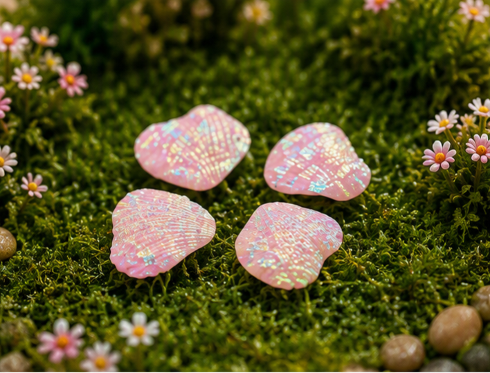 Miniature Big Sea Shells